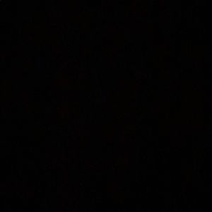 Meet your Posher, Brandee